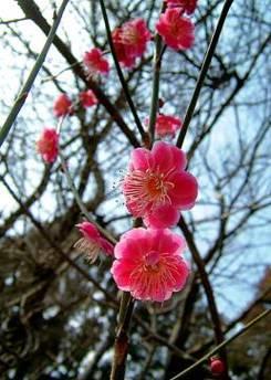 大東霊園